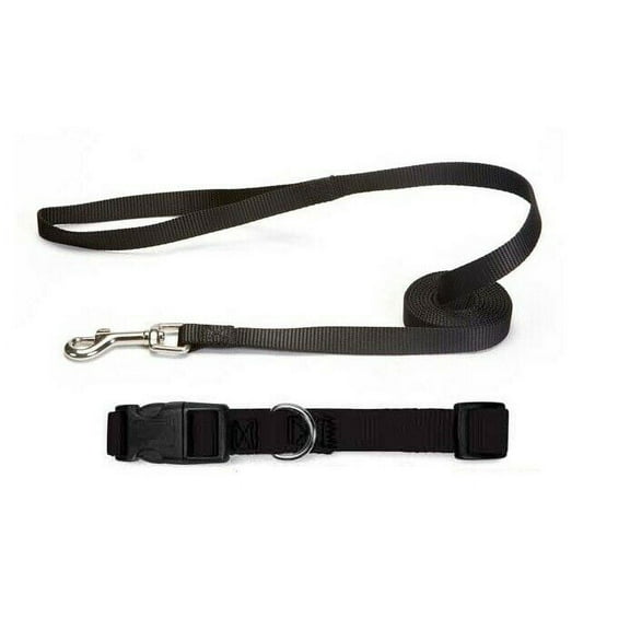 Nylon Solid Color Dog Collar and Lead 2 Piece Sets Durable Adjustable Selections (Black,xSmall)