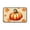 Orange636, variant on Zynviq 15.7" X 23.6" Area Rugs Pumpkin Thanksgiving Throw Rug Polyester Washable Brown Rectangular Small Rug for Dorm