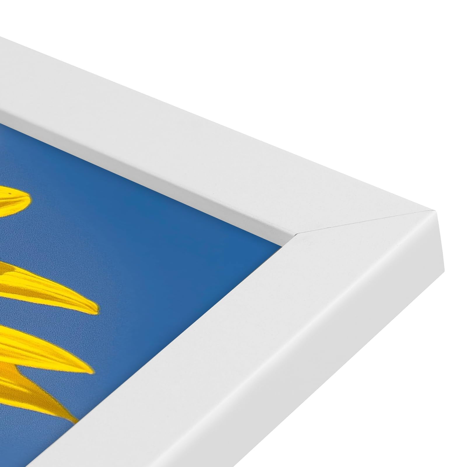 Golden State Art A2 16.5x23.4 Inch Picture Frames with Plexiglass, White, Set of 2