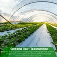 thumbnail image 4 of Farm Plastic Supply - String Reinforced 4 Year UV Resistant 10 mil Clear Greenhouse Plastic Sheeting - 4 Year UV Resistant Polyethylene Greenhouse Film, Hoop House Green House Cover (6' x 100'), 4 of 5