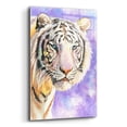 thumbnail image 2 of Epic Art 'White Tiger' by Barbara Keith, Acrylic Glass Wall Art, 12"x16", 2 of 8