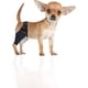 thumbnail image 1 of La rodillera para perros es aplicable a la recuperación de una cirugía de rotura o distensión del ligamento de la pata trasera del perro., 1 of 5