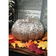 thumbnail image 4 of K&K Interiors 40610C 8 Inch Champagne Glitter Pumpkin, 4 of 4