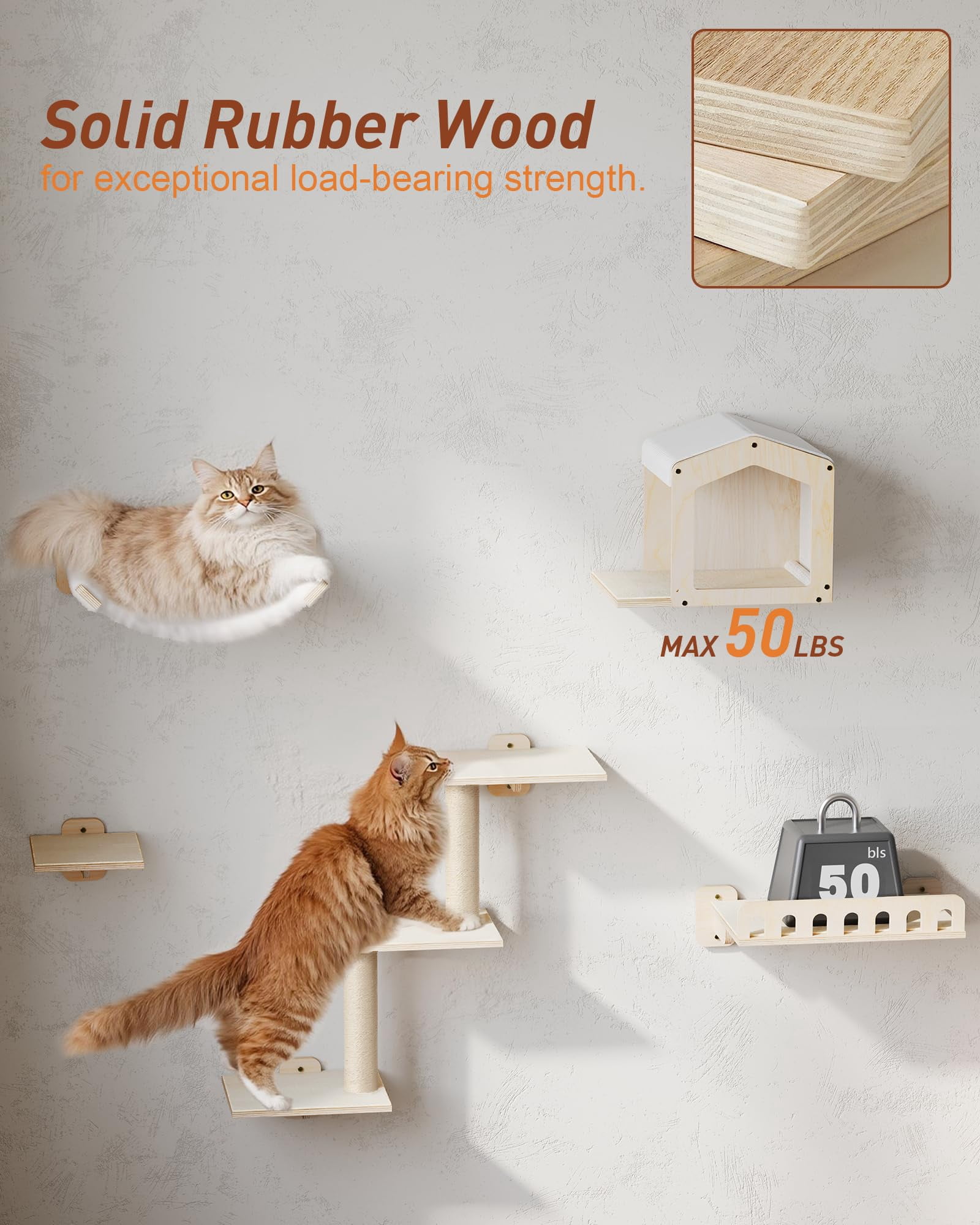 Cat Wall Shelves 5-in-1 Furniture with Hammock and Wide Perch Wooden Climbing Set for Indoor Large Cats
