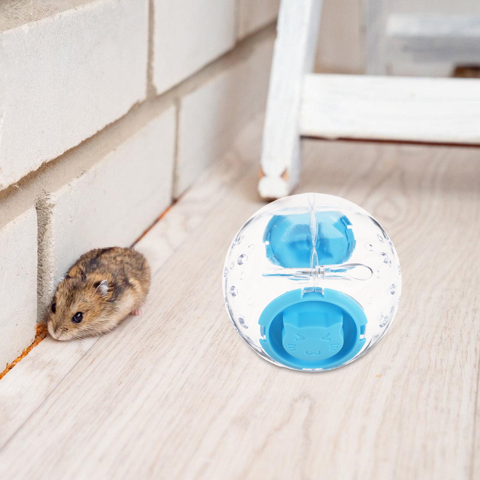 WRISTBIQUE 1Set Sky Blue Hamster Activity Ball and Running Wheel for Small Pets Enhancing Physical Fitness