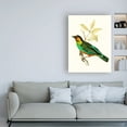thumbnail image 3 of Trademark Fine Art 'On Perch VI' Canvas Art by Unknown, 3 of 3