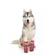 thumbnail image 4 of 4 unids/set antideslizante para mascotas zapatos de tubo largo botas de lluvia impermeables para perros (rojo XS) Likrtyny Para estrenar, 4 of 7