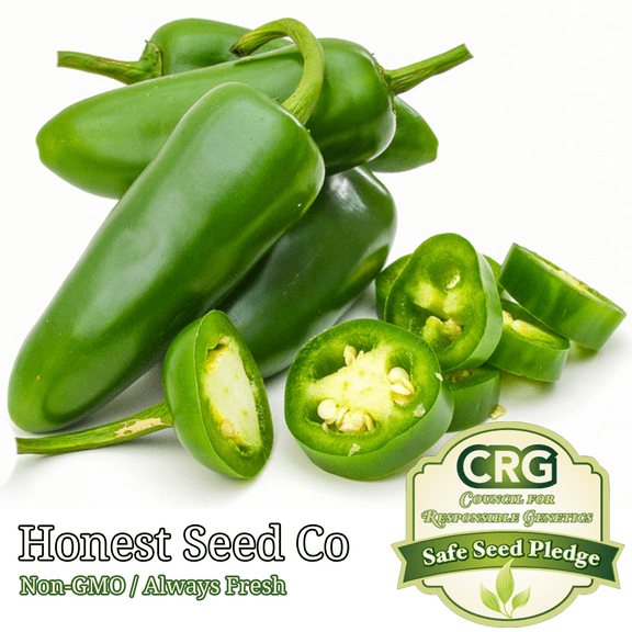 100  Jalapeno Pepper Seeds | Non-GMO | Heirloom Vegetable Garden Seeds from USA
