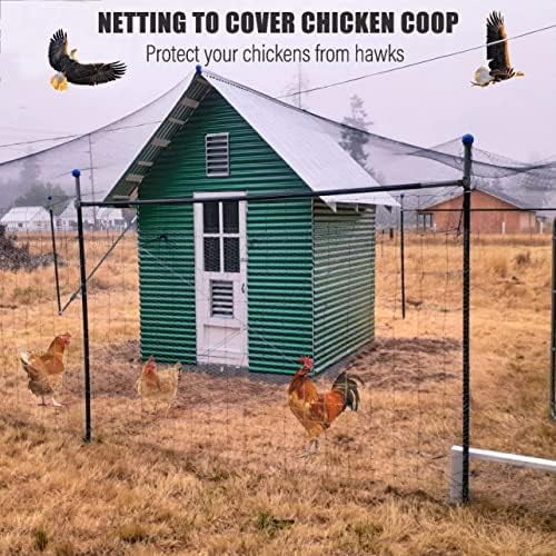 Bird Netting for Chicken Coop-50x50ft Poultry Netting Over Chicken Run & Chicken Pen, Heavy Duty 2.4” Mesh Garden Net for Blueberry Bushes, Fruit Trees and Vegetable Against Birds, Deer, Squirrels