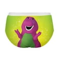 thumbnail image 5 of Barney & Friends Women's Panties Breathable, Sexy Everyday Comfort Lace Underwear Stretchable S, 5 of 7