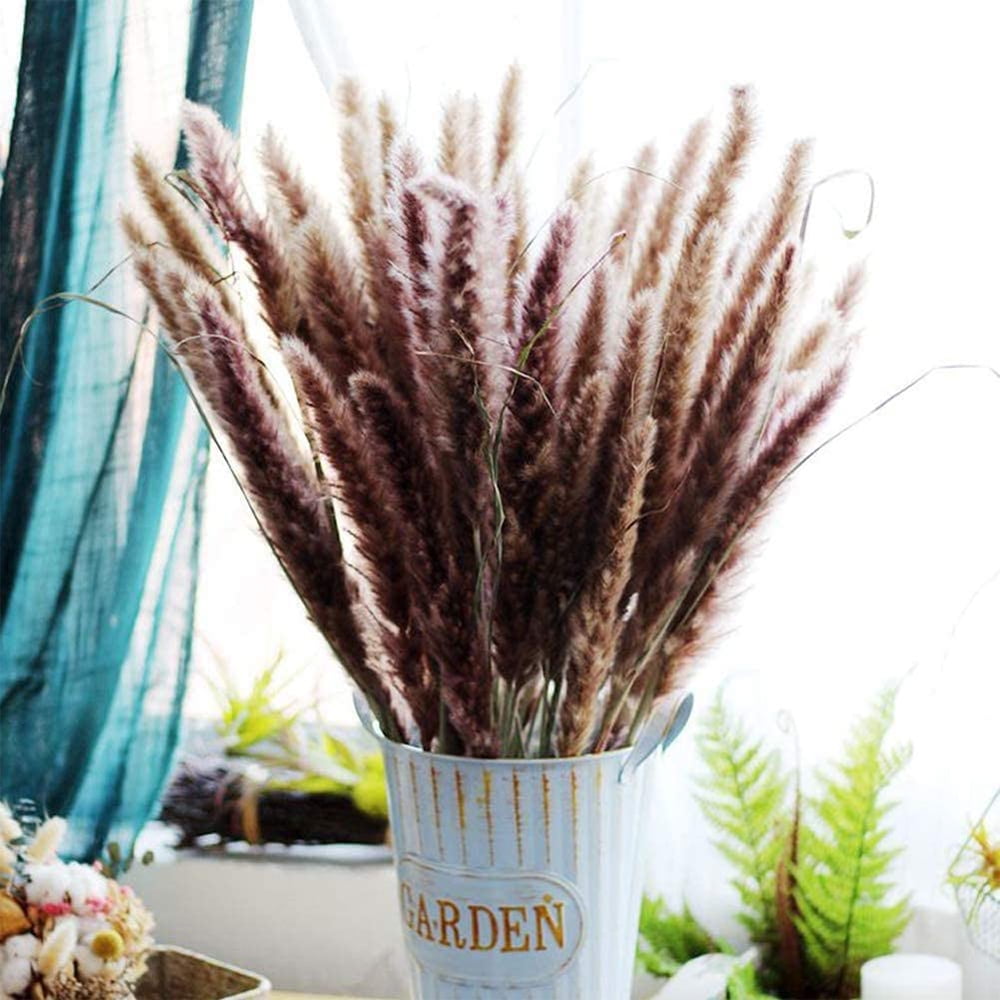 Dried Small Pampas Grass Natural Flowers Reed Grass Plants Home Wedding Decors 