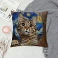 thumbnail image 2 of Qinduosi Pillow Covers Decorative Pillowcases in Cat Starry Night Design, Holiday Farmhouse Throw Pillow Case Hidden Zippered Square Cushion Cover for Sofa Bedroom Home Decor White, 2 of 5