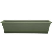 Bloem 30-in Wide Dura Cotta Resin Window Box Planter - Living Green