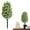 C, variant on Artificial Cedar Topiary Trees with Ground Spike, Artificial Plants Outdoor, Faux Pine Shrubs Plants, Realistic Fake Plants Front Porch Decor, Artificial Bushes Cypress for Home Front Door Offices