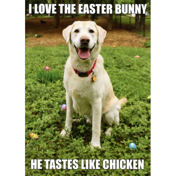 Recycled Paper Greetings Easter Bunny Tastes Like Chicken Funny / Humorous Dog Easter Card