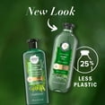 Herbal Essences Hemp Oil Sulfate Free Shampoo, Frizz Control, 13.5 fl