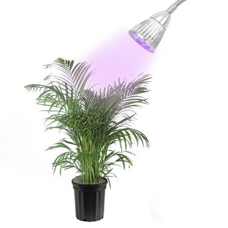 Led Concepts Grow Light Miracle Plant Light Clip Desk Lamp For