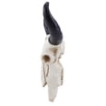 thumbnail image 5 of Yucurem Cow Skull Head Ornament Wall Hanging 3D Animal Statue for Home Decor (A), 5 of 10