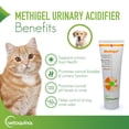thumbnail image 2 of Acidificante urinario Vetoquinol Methigel para perros y gatos, 2 of 7