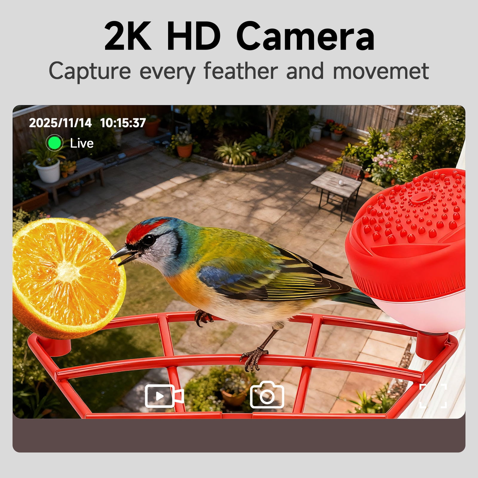Smart Bird Feeder with Camera & AI Identification, 2.4GHz WiFi Solar Powered Outdoor Bird Feeder with Cam, 2K Live View, Instant Arrival Alerts