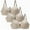 Beige1, variant on fatyb 3 Pack Underwire Bras for Women Full Coverage Push up Bras Womens Breathable Lace Everyday Bras