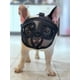 thumbnail image 4 of Short Snout Pet Dog Muzzles Adjustable Breathable Mesh French Bulldog Pug Mouth Muzzle Mask Anti Stop Barking Dog Supplies Hot ShopWise Round, 4 of 15