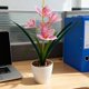 thumbnail image 5 of Simulated Flower Feel Bonsai Home Decor Study Living Room Decoration Artificial Flower Bonsai Green Plants Ornaments, 5 of 6