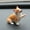 G, variant on corgi figurine Car Dashboard Decor Mini Corgi Figurine Resin Dog Statue Car Dashboard Decoration Kawaii Desktop Accent Gift for Pet Lovers Office Home Shelf Decor 4 Inch Height H