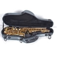 thumbnail image 2 of Estuche Portátil para saxofón Alto Sunnimix Acolchado de tela, 2 of 8