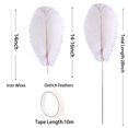 thumbnail image 3 of Kit de plumas de avestruz Ballinger 10 piezas, 71 cm, grandes, blancas, 3 of 7