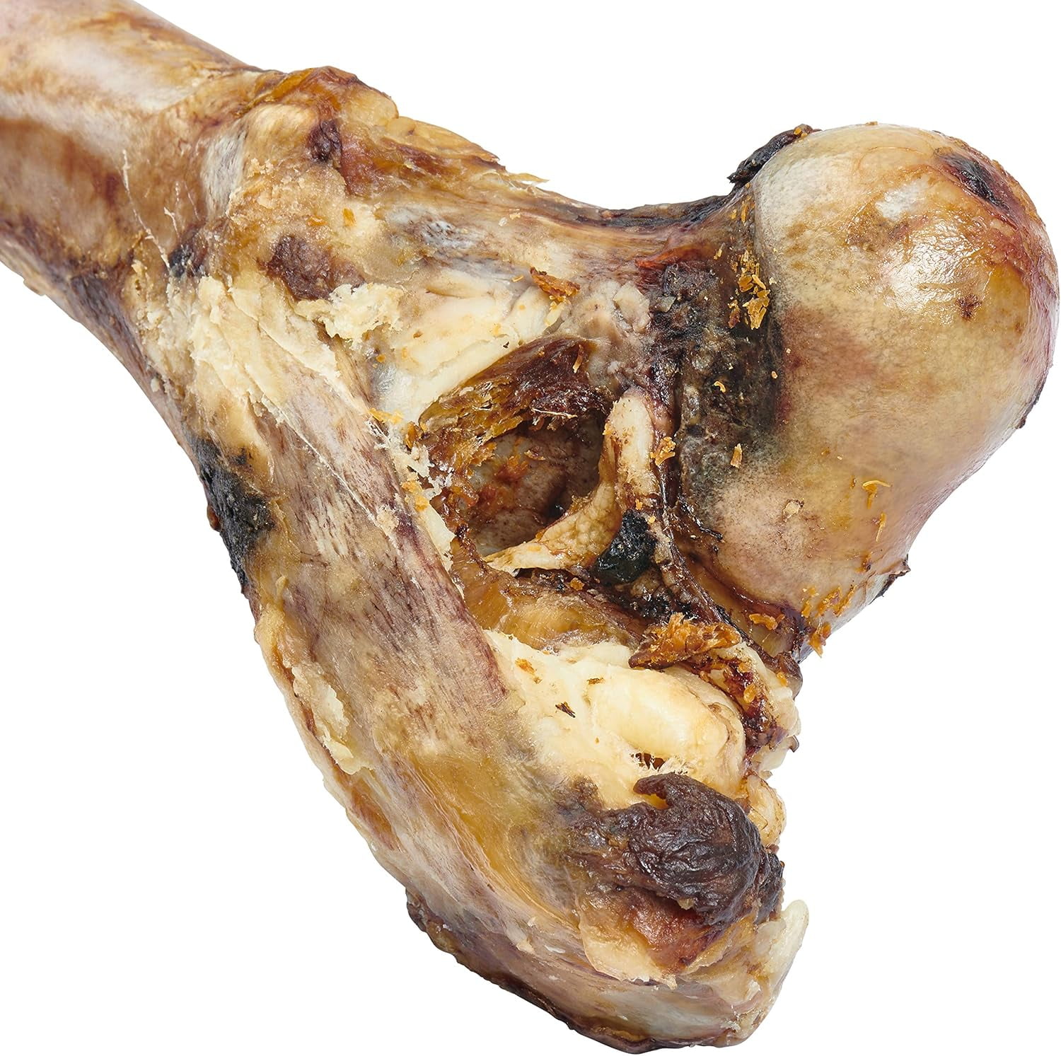 EcoKind Dog Bone Giant Femur Bone for Dogs | 1 Bone | Long Lasting Mammoth Dog Bones for Aggressive Chewers, Rawhide Free Healthy Dog Treat, Large Bones, Digestible Dog Chews