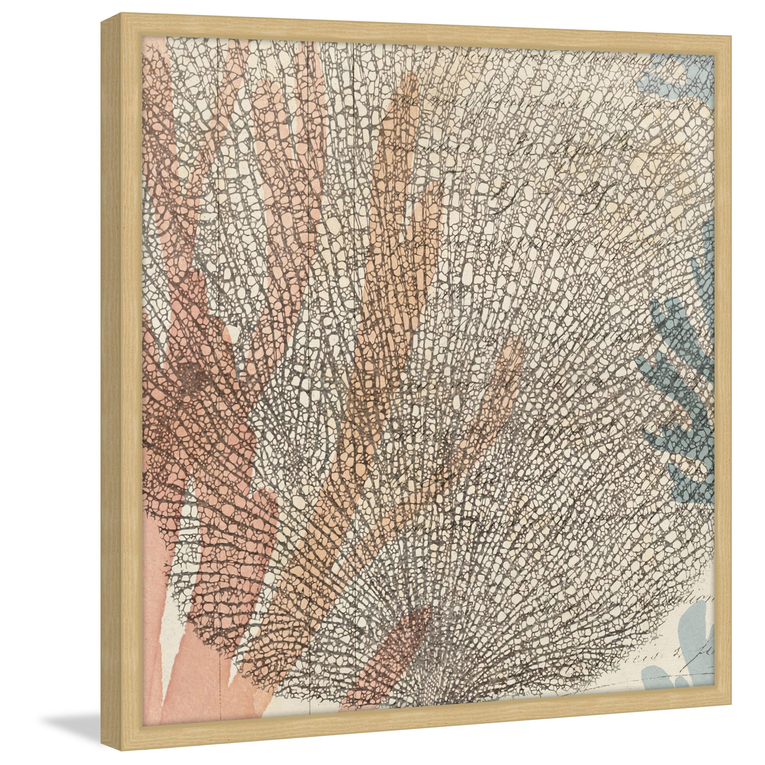 Marmont Hill "Sea Ephemera I" Framed Painting Print
