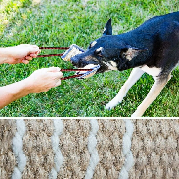 Dog clearance dummy toy