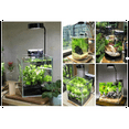 thumbnail image 4 of LED Aquarium Fish Tank Light with Bamboo Base Lamp for Aquariums Potted Plants Succulents Miniature Landscape US Plug 3W New, 4 of 5