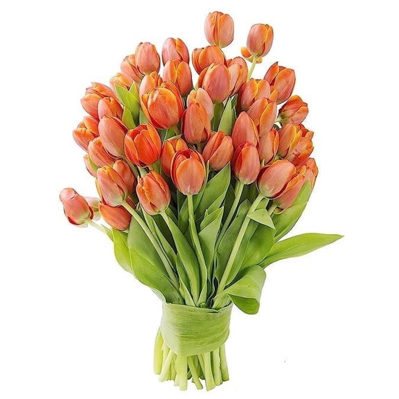KaBloom Fresh Cut Flowers: 30 Orange Tulips, Fragrant, Gift for every occasion