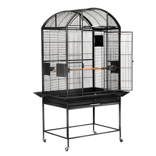 petsmart bird cages