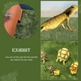 thumbnail image 4 of GAXIRE Accessoires pour Boîtes de Reptiles Tapis de Reptiles Coton Anti-Humidité Décorations de Réservoir de Tortue 1ensemble, 4 of 8