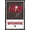 Black Framed Version, variant on NFL Tampa Bay Buccaneers - Logo 21 Wall Poster with Push Pins, 22.375" x 34"