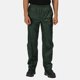 thumbnail image 2 of Regatta Pro - Pantalones impermeables plegables para la lluvia para mujer (Laurel), 2 of 2