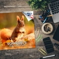 thumbnail image 5 of 2025 2026 Squirrels Calendar - Cute Wildlife Monthly Wall Calendar - 12 x 24 Open - Thick No-Bleed Paper - Giftable - Academic Teacher's Planner Calendar Organizing & Planning - Made in USA, 5 of 9