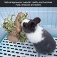 thumbnail image 2 of Soporte de alimentación para mascotas con dientes naturalessoporte de comida para conejos de juguete para triturarpara animales pequeos de conejo Cavy Amonsee No, 2 of 5