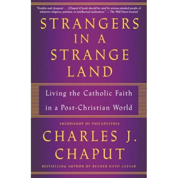 Pre-Owned Strangers in a Strange Land (Paperback) 1250159628 9781250159625