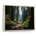 thumbnail image 2 of Designart "Redwood National Park Exploring the Forest III" Landscapes Floater Framed Wall Art Living Room, 2 of 7