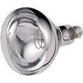 thumbnail image 4 of Ampoule Chauffante pour Service Alimentaire 250W Ampoules Infrarouges pour Lampe Chauffante Alimentaire (110V), 4 of 4