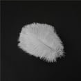 thumbnail image 2 of Ksopiavobs 100 Pieces Decoration Ostrich Feathers 6-8 Inch (15-20 cm) High Simulation Artificial Ostrich Feathers for Wedding Theme Party Cosplay Home or Handicraft House Decoration, White, 2 of 4