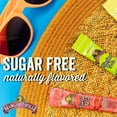 thumbnail image 4 of NS Margaritaville Singles To Go Water Drink Mix - Strawberry Daiquiri Flavored, Non-Alcoholic Powder Sticks, Sugar-Free Low-Calorie Water Enhancer Powder 2 Boxes - 6 Sachet per Box - 12 Total Servings, 4 of 6