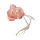 thumbnail image 1 of LUVCLS Pinza para el pelo con forma de mariposa y orquídea, estilo retro, estilo Phalaenopsis, 1 of 7