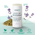 thumbnail image 2 of Desodorante natural Stick Up para mujeres y hombres con polvo de arcilla bentonita, arrurruz, magnesio y zinc, 85 g. Desodorante vegano para 3-4 meses, lavanda blanca - Primal Life Organics, 2 of 5