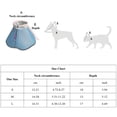 Ventilate Cats Recovery Collar Practical Hygienics Cats Cone Shape ...