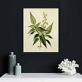 thumbnail image 4 of ONETECH Botanical Plant Wall Art Prints: Sage Green Eucalyptus Picture Decor  Framed  Leaves Poster for Bathroom Bedroom Living Room Home Decoration, 4 of 4